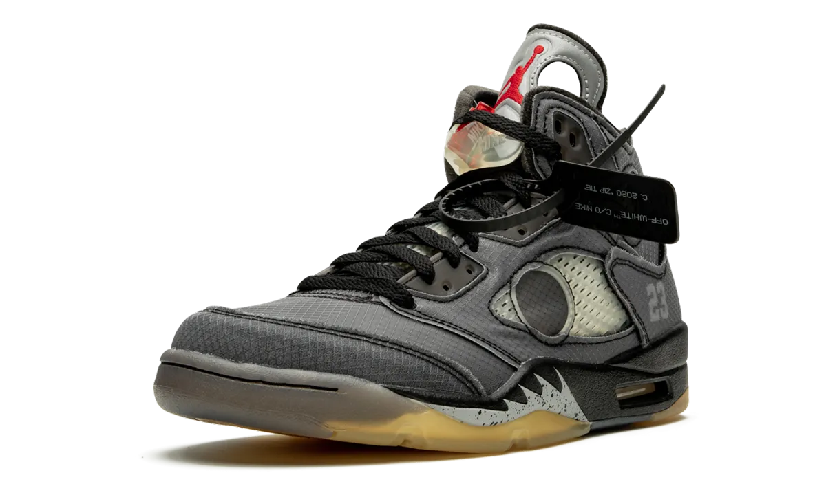 Air Jordan 5 Retro SP