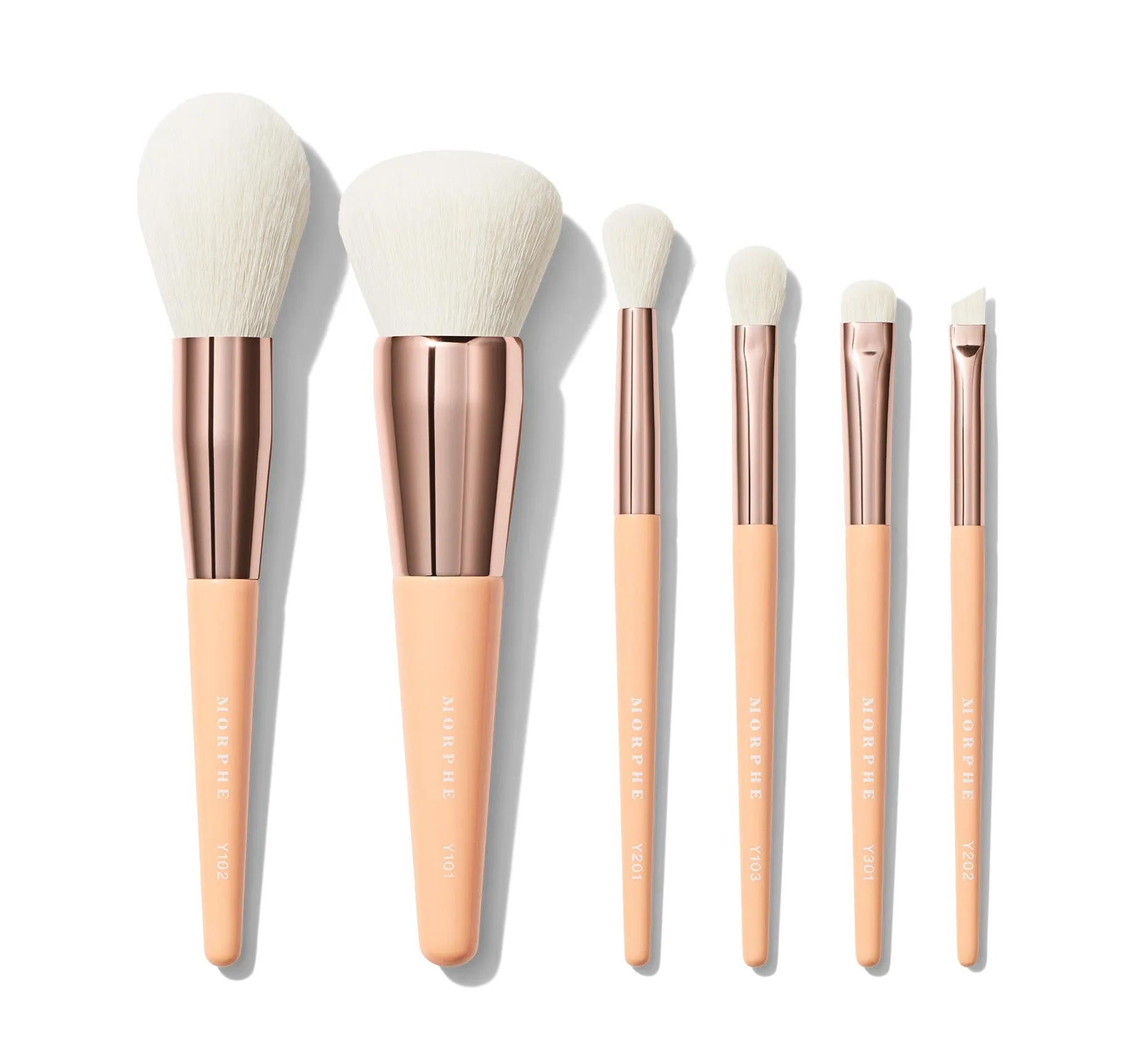 Aurascape 6-Piece Face & Eye Travel Brush Set