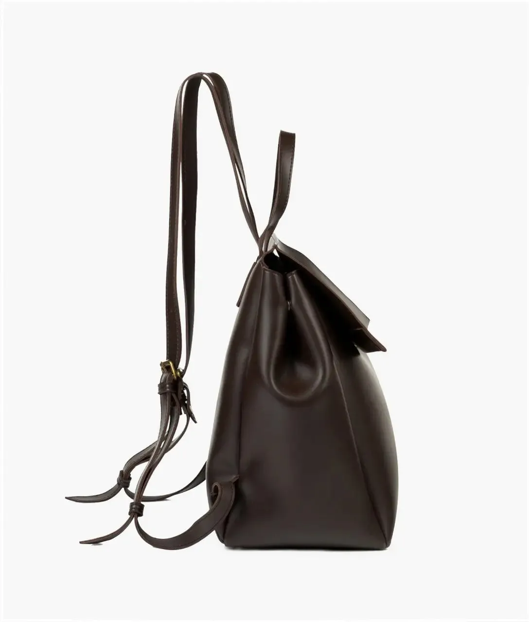 Brown Women Leather Backpacks 557