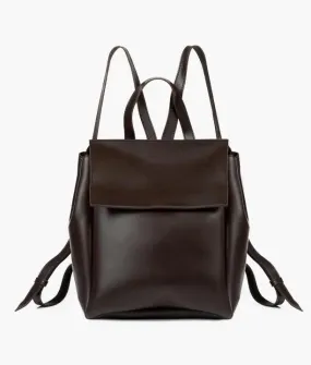 Brown Women Leather Backpacks 557