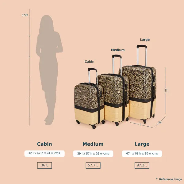 FloMotif Raahi Trolley Bag Combo