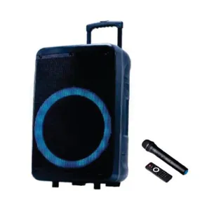 JVC Trolley Speaker With Light Show 15"