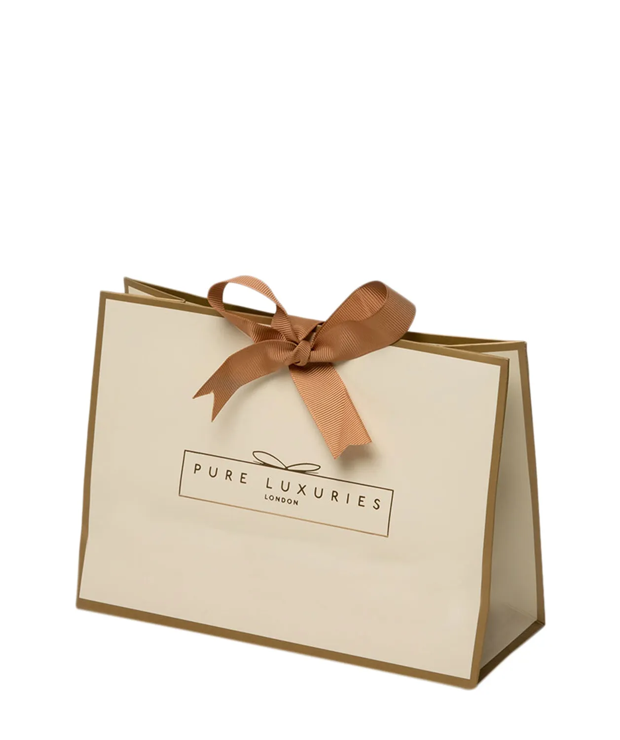 Luxury Ribbon Tied Regular Gift Bag