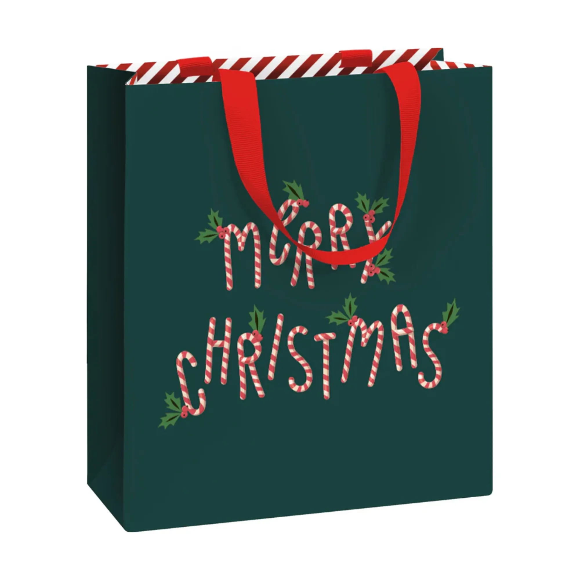 Merry Christmas Gift Bag