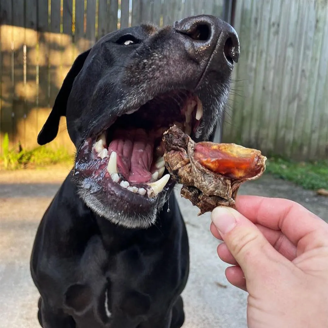 Roo Cartilage Chew