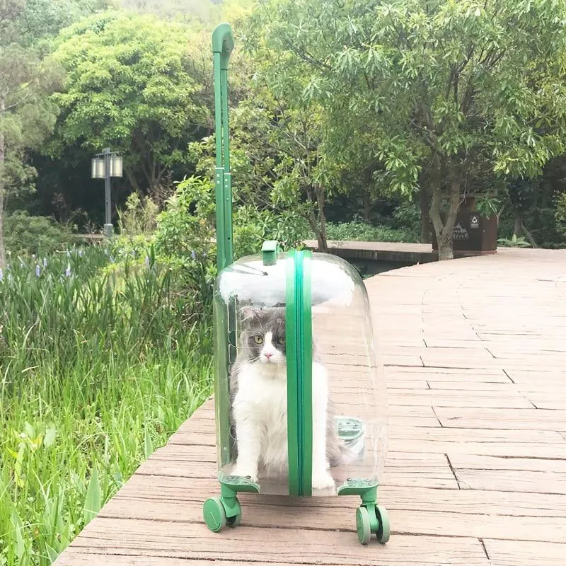 Transparent Pet Travel Trolley Capsule